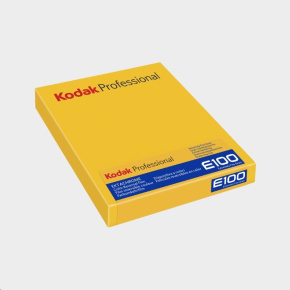 Kodak Ektachrome E100 8x10 10 Sheets